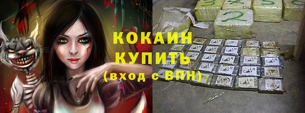 стафф Осинники