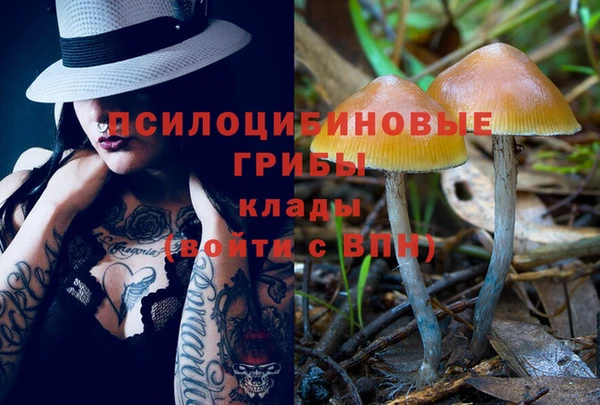 PSILOCYBIN Осташков