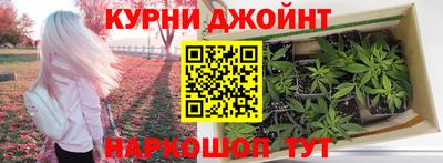 крисы Изобильный