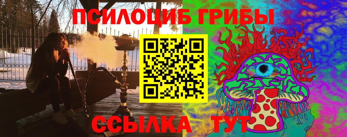 Галлюциногенные грибы Cubensis  Галлюциногенные грибы мицелий  Вход с VPN  Стрежевой 