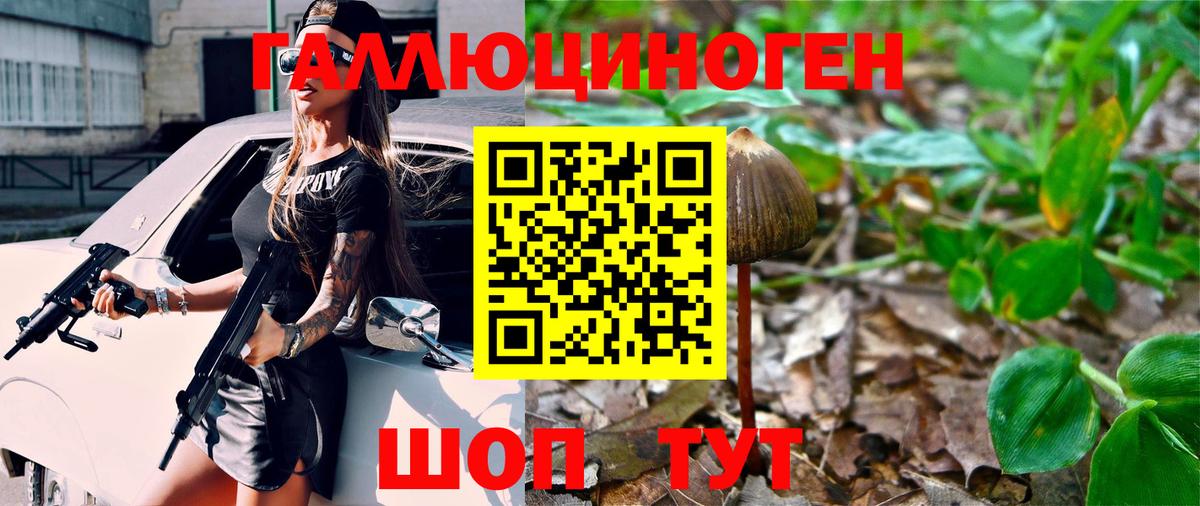 Галлюциногенные грибы мухоморы  Стрежевой 