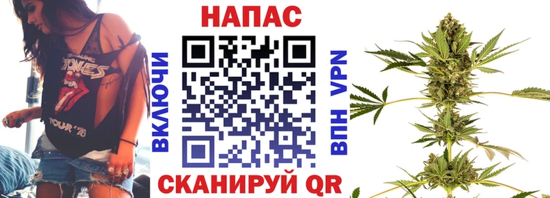 OMG как зайти  как найти закладки  Стрежевой  Бошки марихуана SATIVA & INDICA 